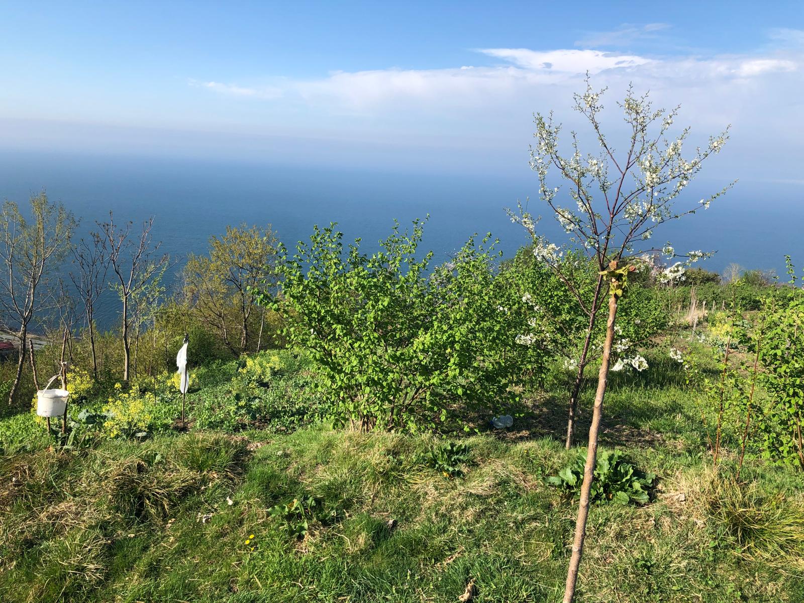 akçaabat mersin de deniz manzaralı 630 m2 satılık arsa